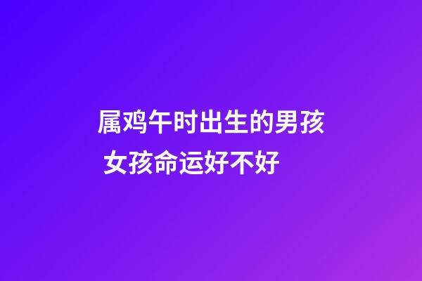 属鸡午时出生的男孩 女孩命运好不好